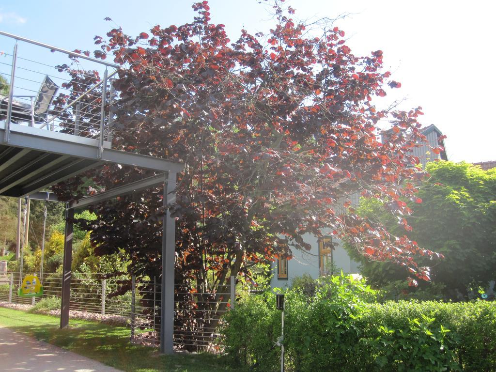 Apartment Haus Sembachtal Winterstein Bagian luar foto
