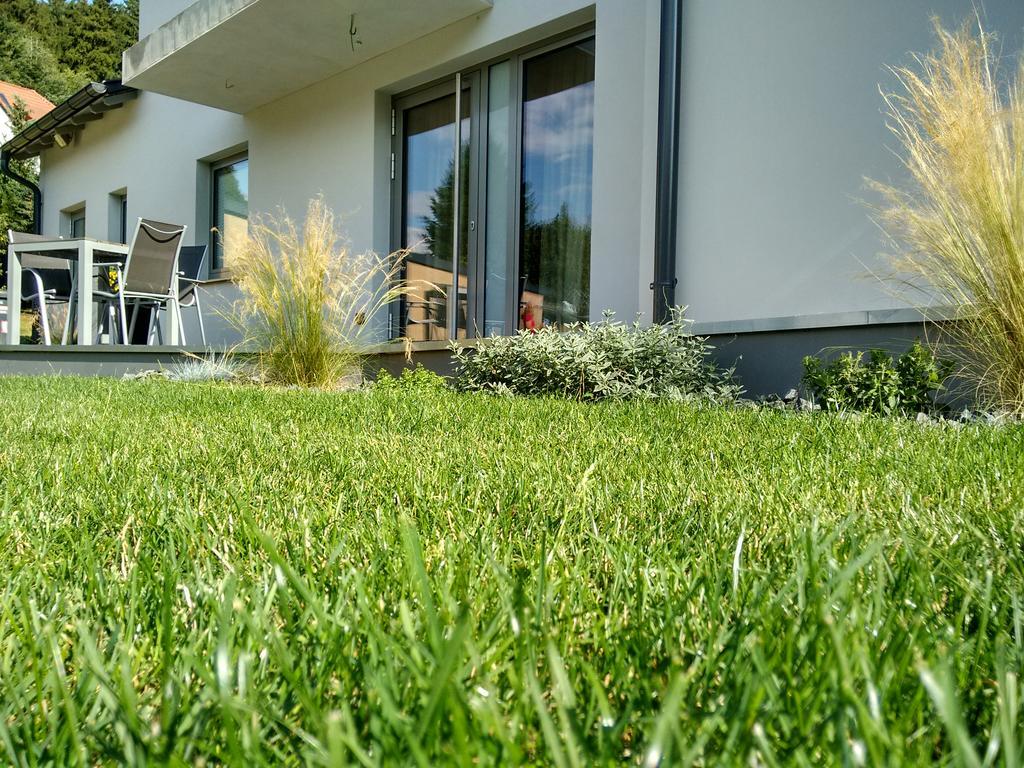 Apartment Haus Sembachtal Winterstein Bagian luar foto